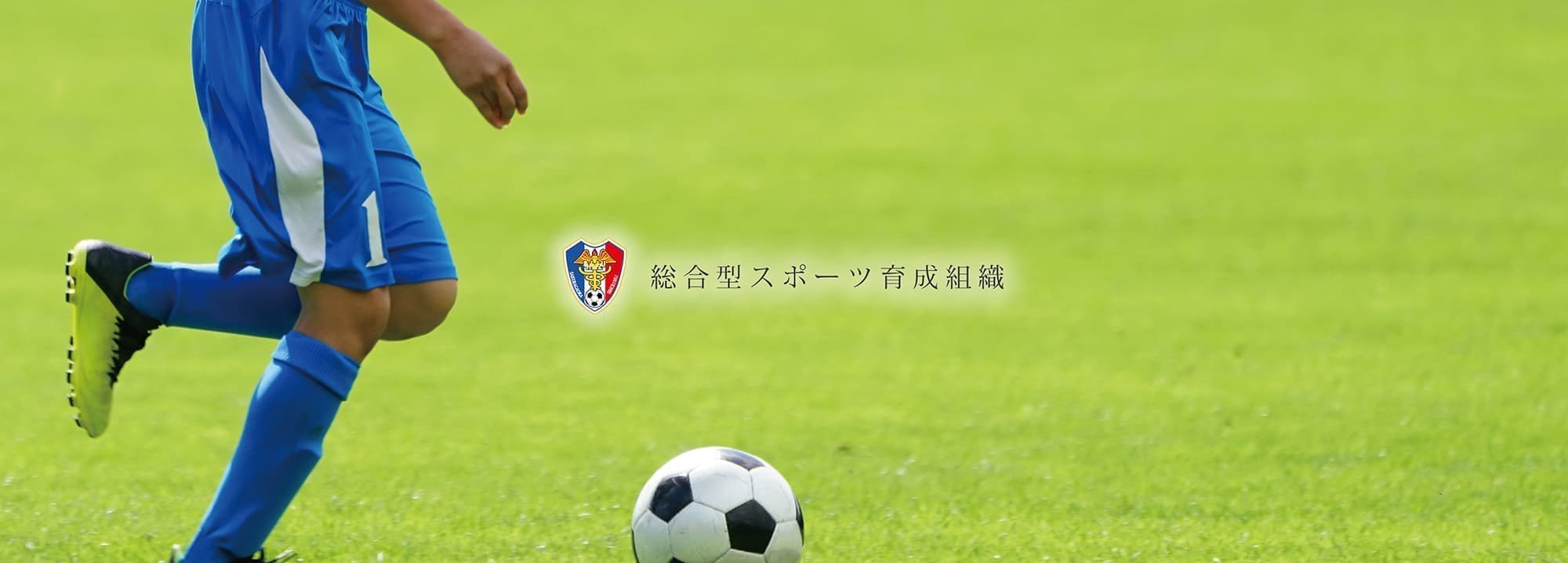 img20210709194259080314.jpg